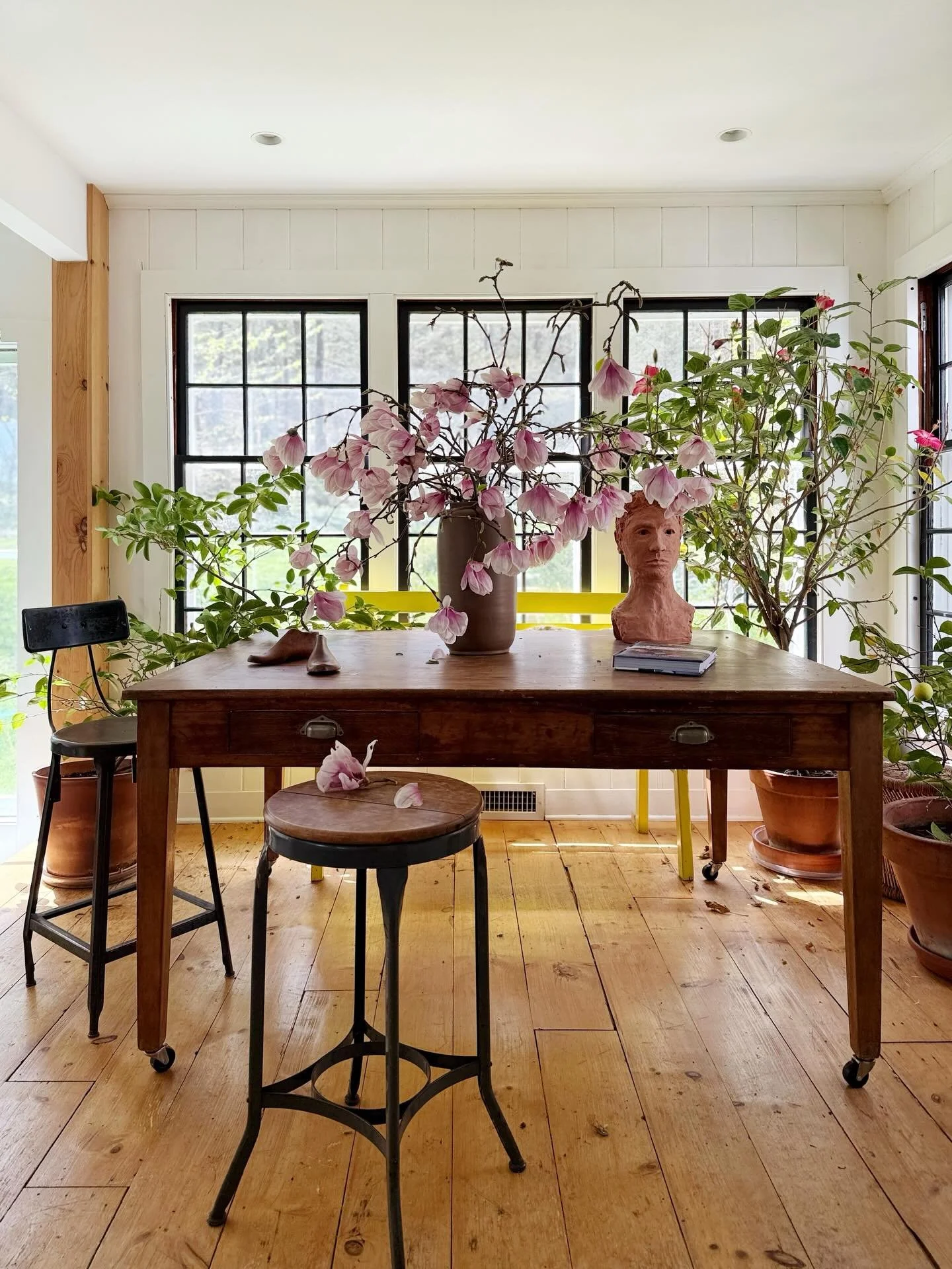 Is Magnolia Monday a thing? If not, I&rsquo;m going to make it one. I have a feeling our tree will be done by the end of the week, so I&rsquo;m soaking it up while I can. Happy Monday guys! 🌸
.
.
.
#magnoliaflower #springblossoms #kitchentable #kitc