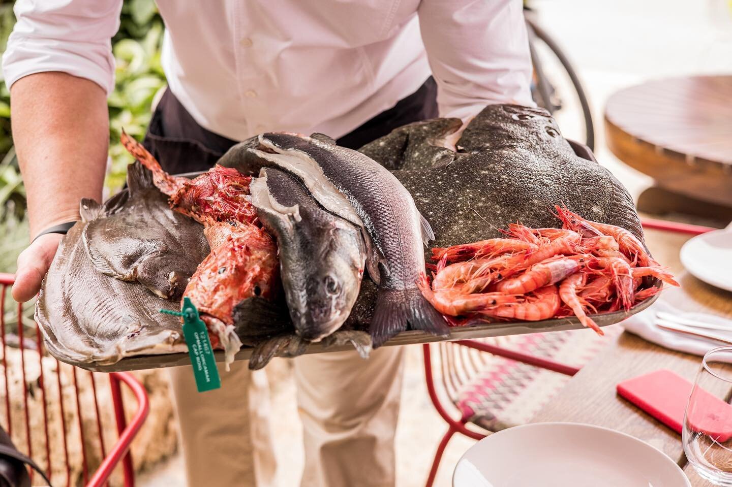 .
.
&iexcl;Estamos muy cerca de abrir nuestras puertas!
.
Este mes de marzo empezaremos una nueva temporada para disfrutar del mejor producto en tu ubicaci&oacute;n favorita😍🥩🐟
.
Nuestro horario de apertura ser&aacute; el siguiente:
.
Martes a s&a