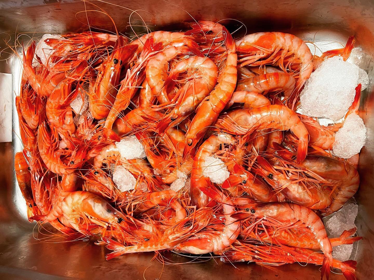 .
.
La gamba roja que tanto nos representa🦐🦐🦐🦐🦐🦐
.
Tan escasa como preciada. La puedes encontrar en nuestro restaurante para rendirle un sincero homenaje.
.
Te esperamos!
.
#we🦐villaluisavibes
.
#foodie #foodies #foodporn #lovefood #comeon #li