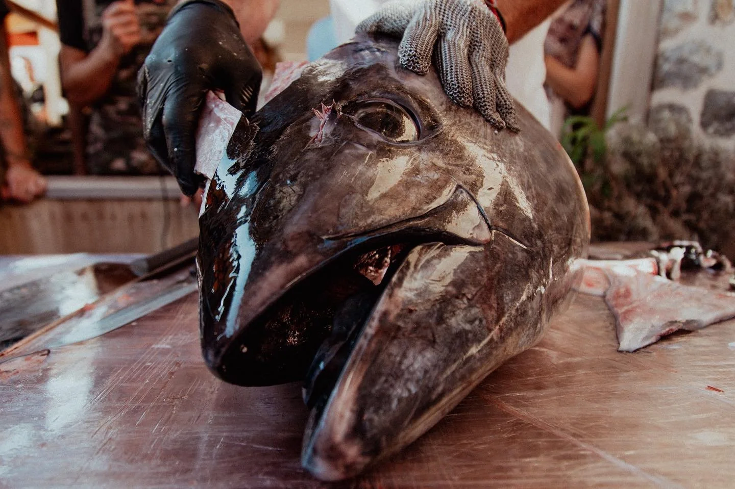 *Todav&iacute;a con sal en la piel y el sabor del at&uacute;n en la memoria.*

El 1 de agosto vivimos algo muy especial en Villa Luisa. Una de esas noches donde todo se alinea: el producto, el entorno, las personas y las ganas de compartir.

Gracias 