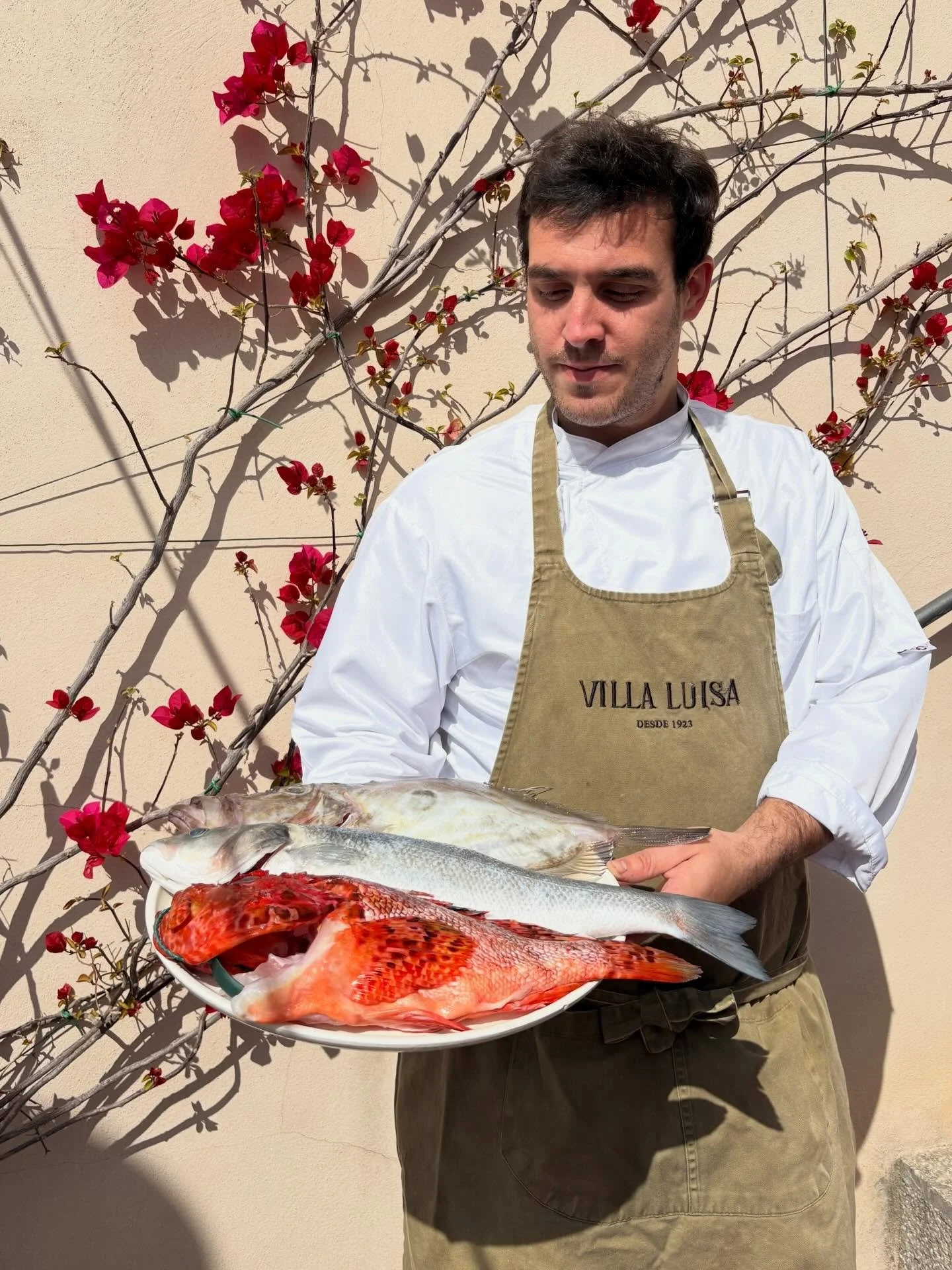 Nuestros cl&aacute;sicos ✨🐟
&iquest;Con cual te quedas ?

#productofresco #villaluisasoller #mallorca #enjoyed