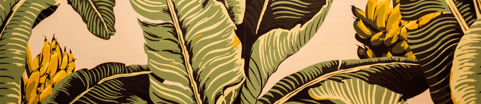 background2.jpg