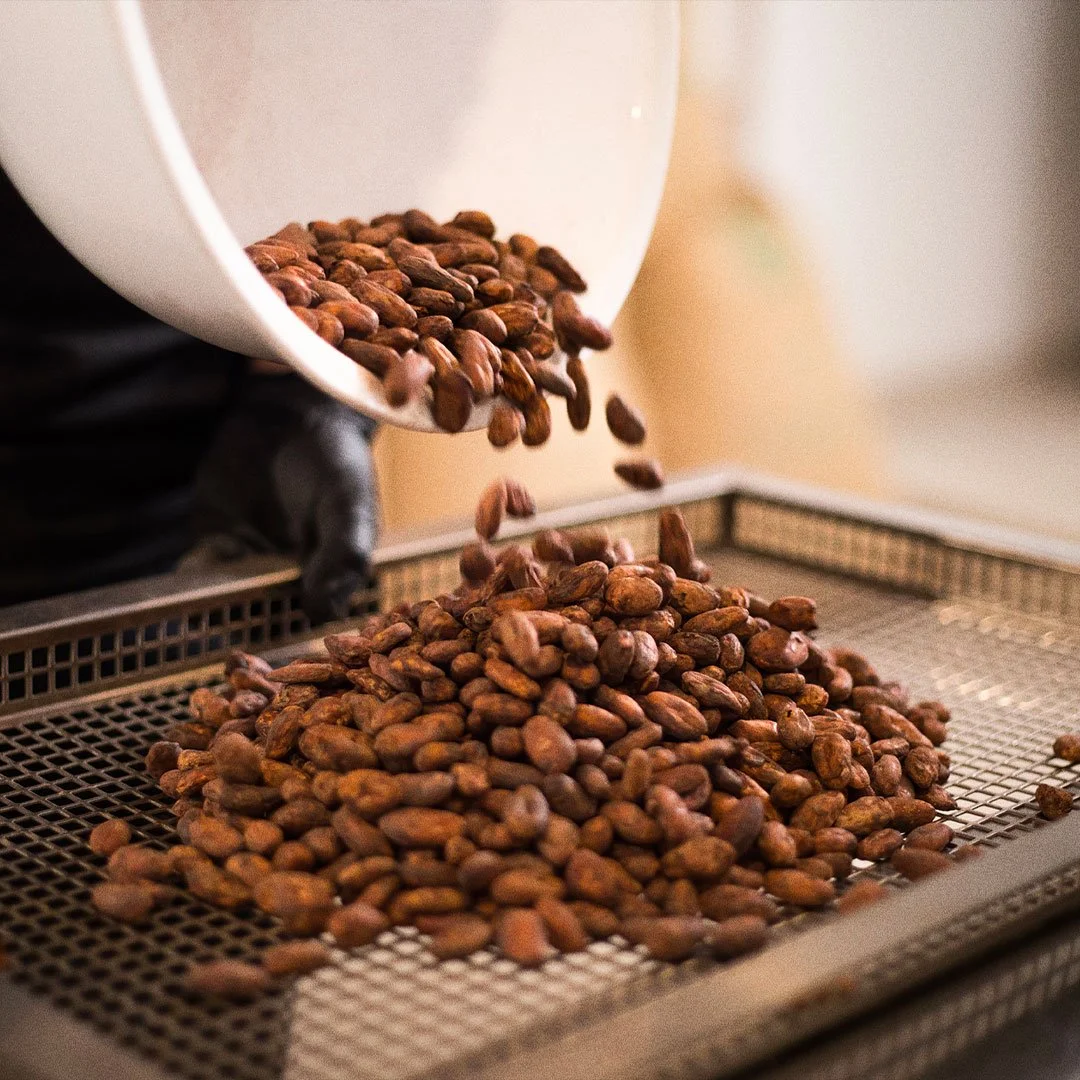 Cacao Racine carrée