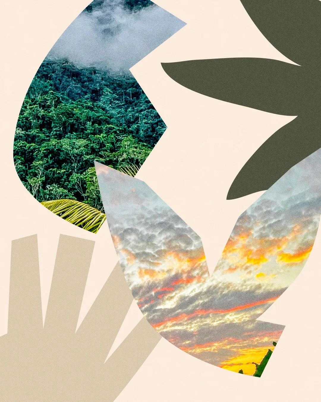 Paysage racine carrée