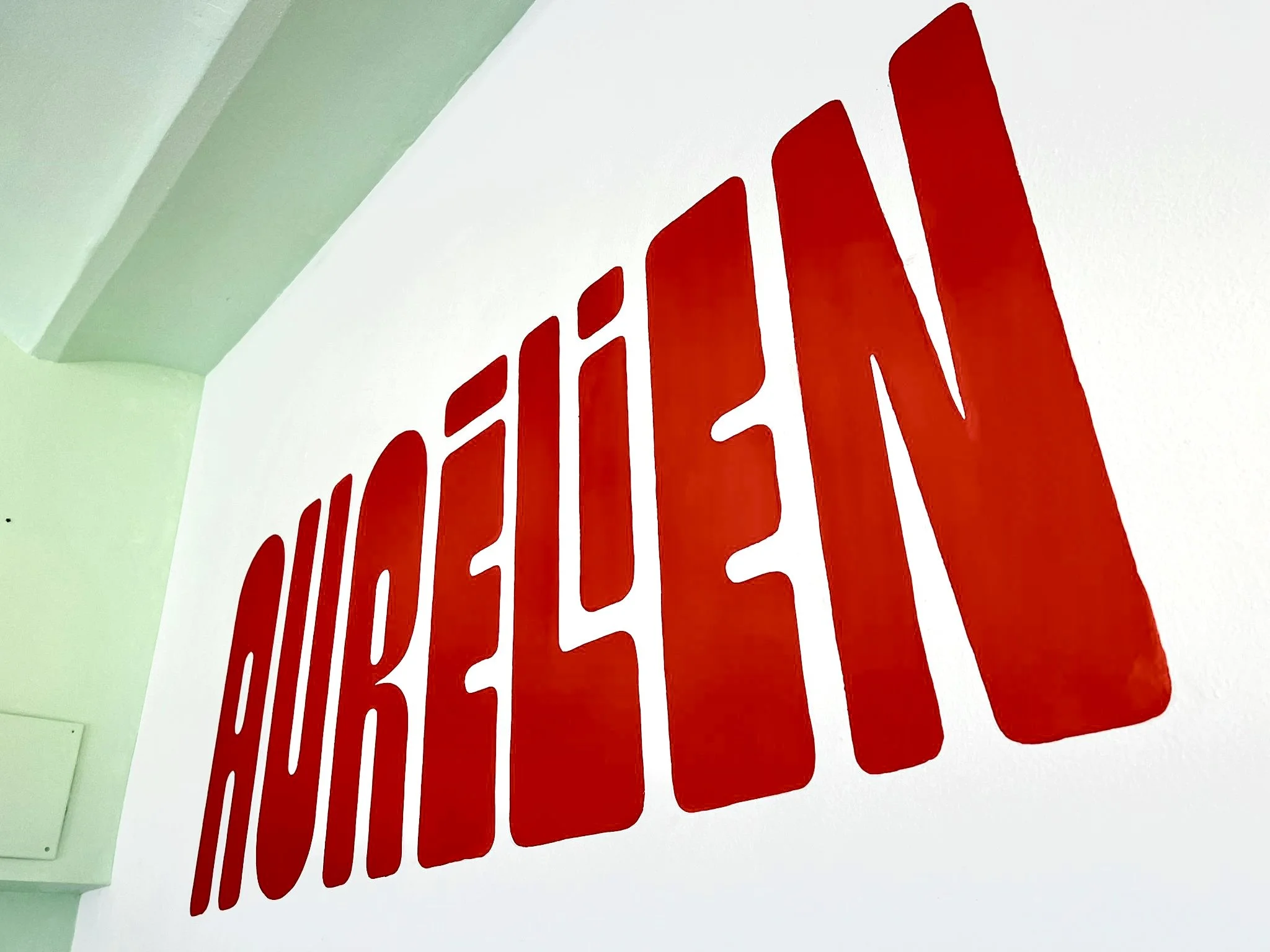 Fresque Aurélien