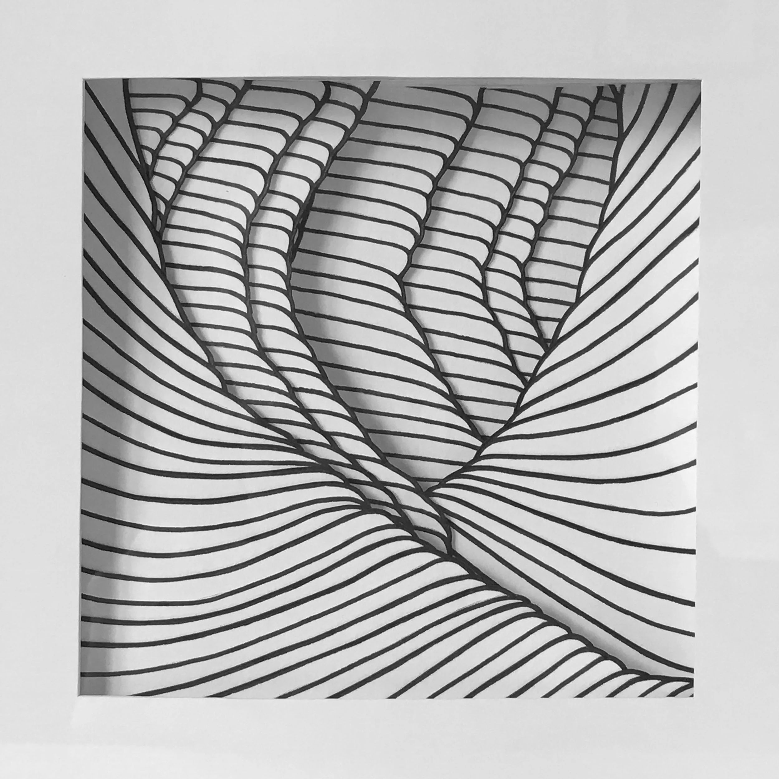 Linearscape 5 Close Edited.jpg