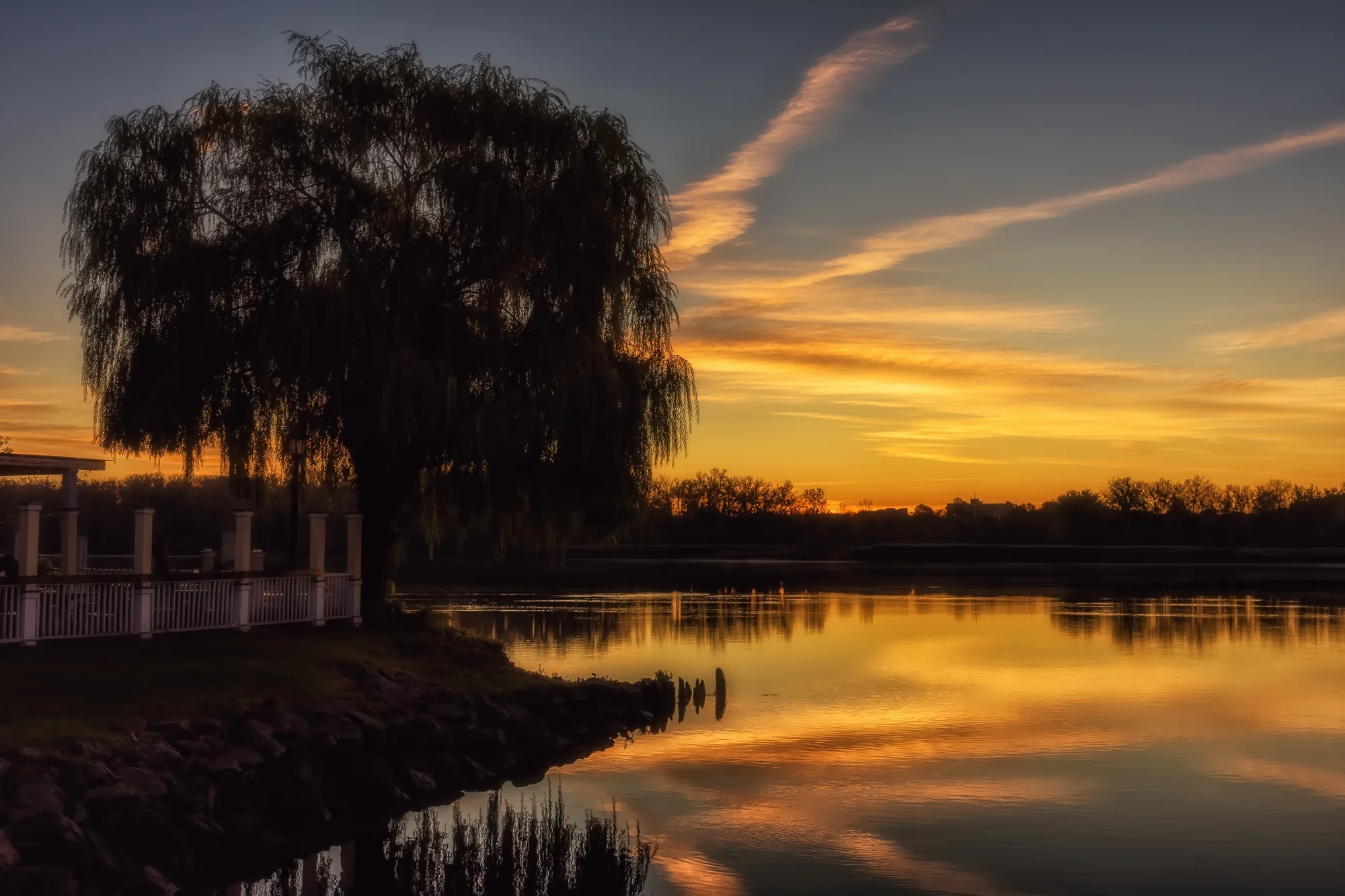 The Willow