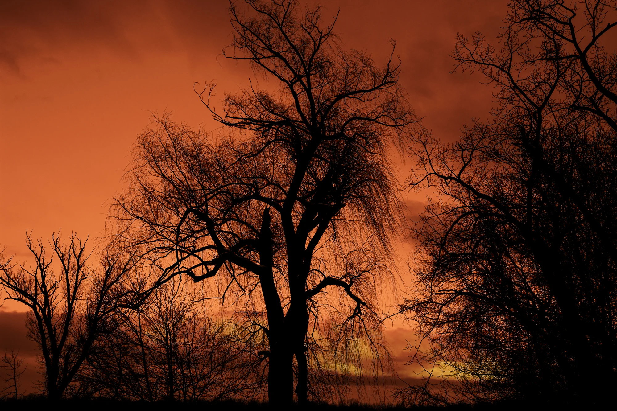 After the Storm - Nikon D7100, 1/125 @ f/8, ISO 200, 28mm - I used a solarization preset in Nix Color Effects for this image. See the poem, After the Storm, in the Poetry Section.