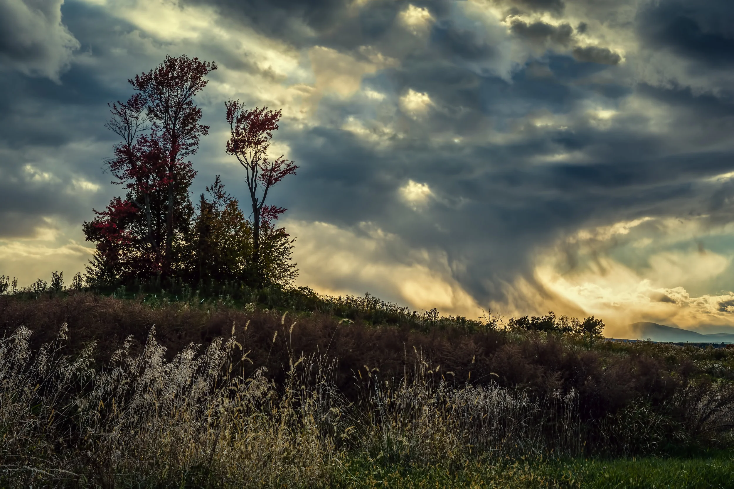 A March Wind Blows