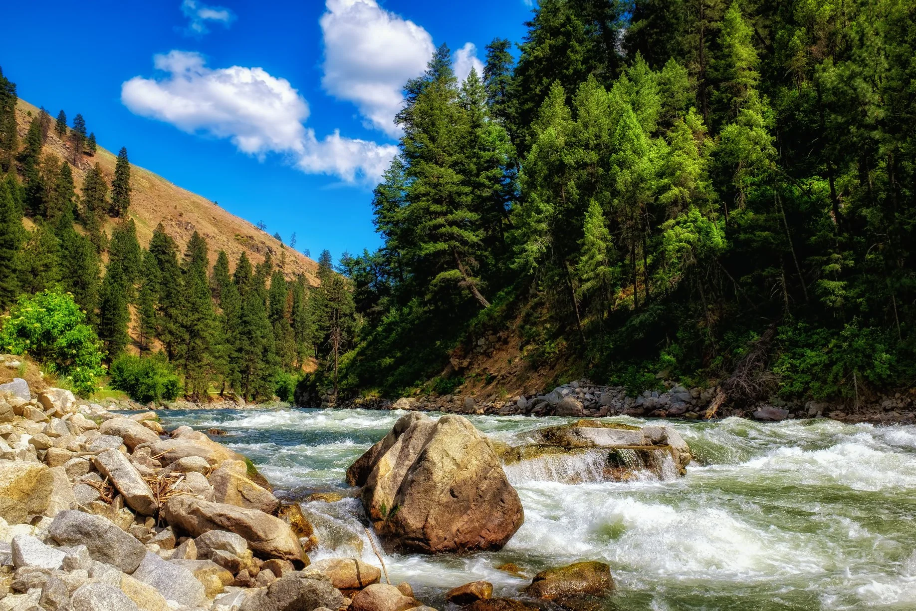 South Fork of the Payette - Fuji X100T, 1/320 @ f/11, ISO 200, 23mm - See my poem, "Running the Payette," in the Poetry section.