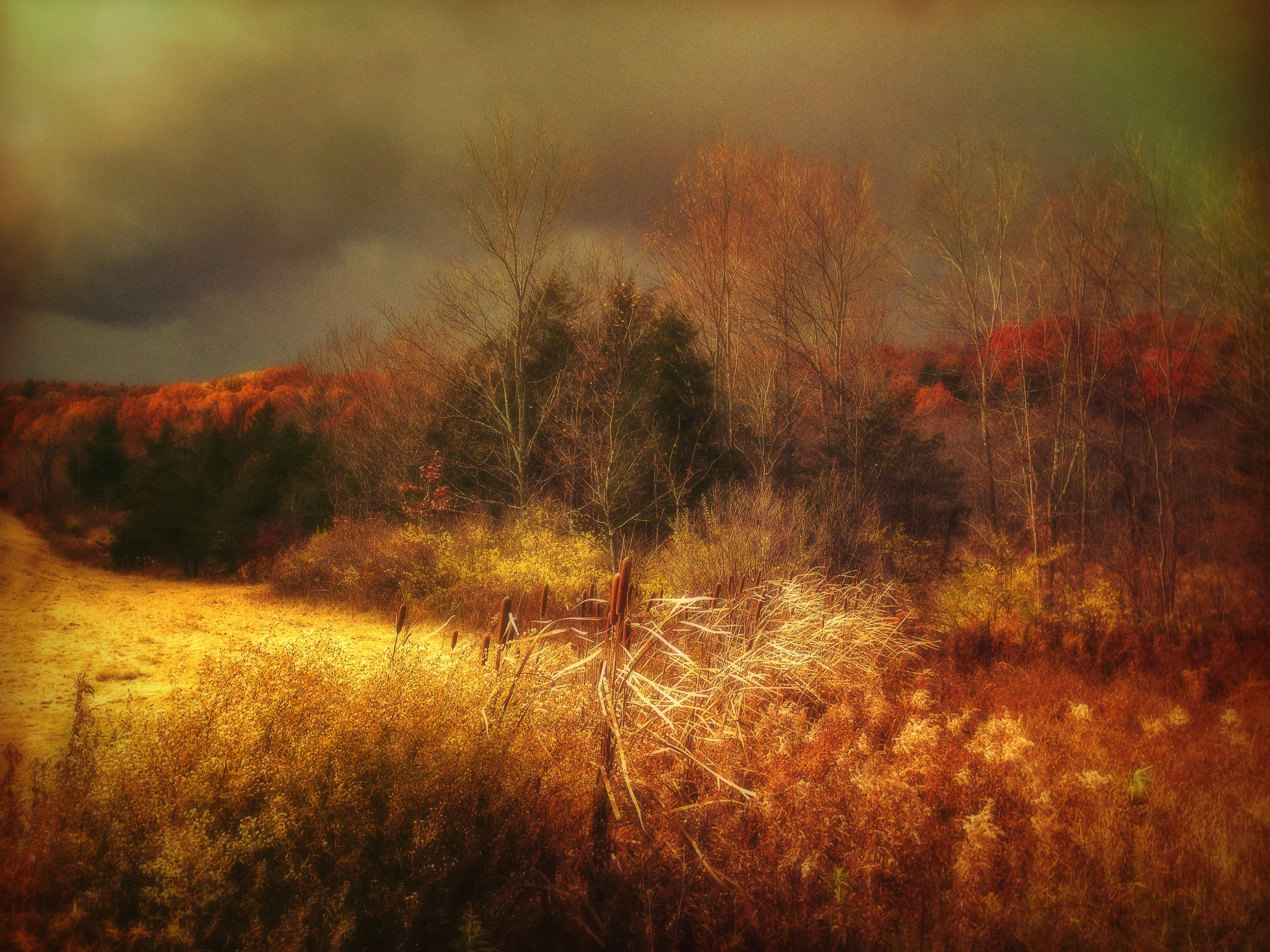 Color Before the Storm - Shot and processed on an iPhone.