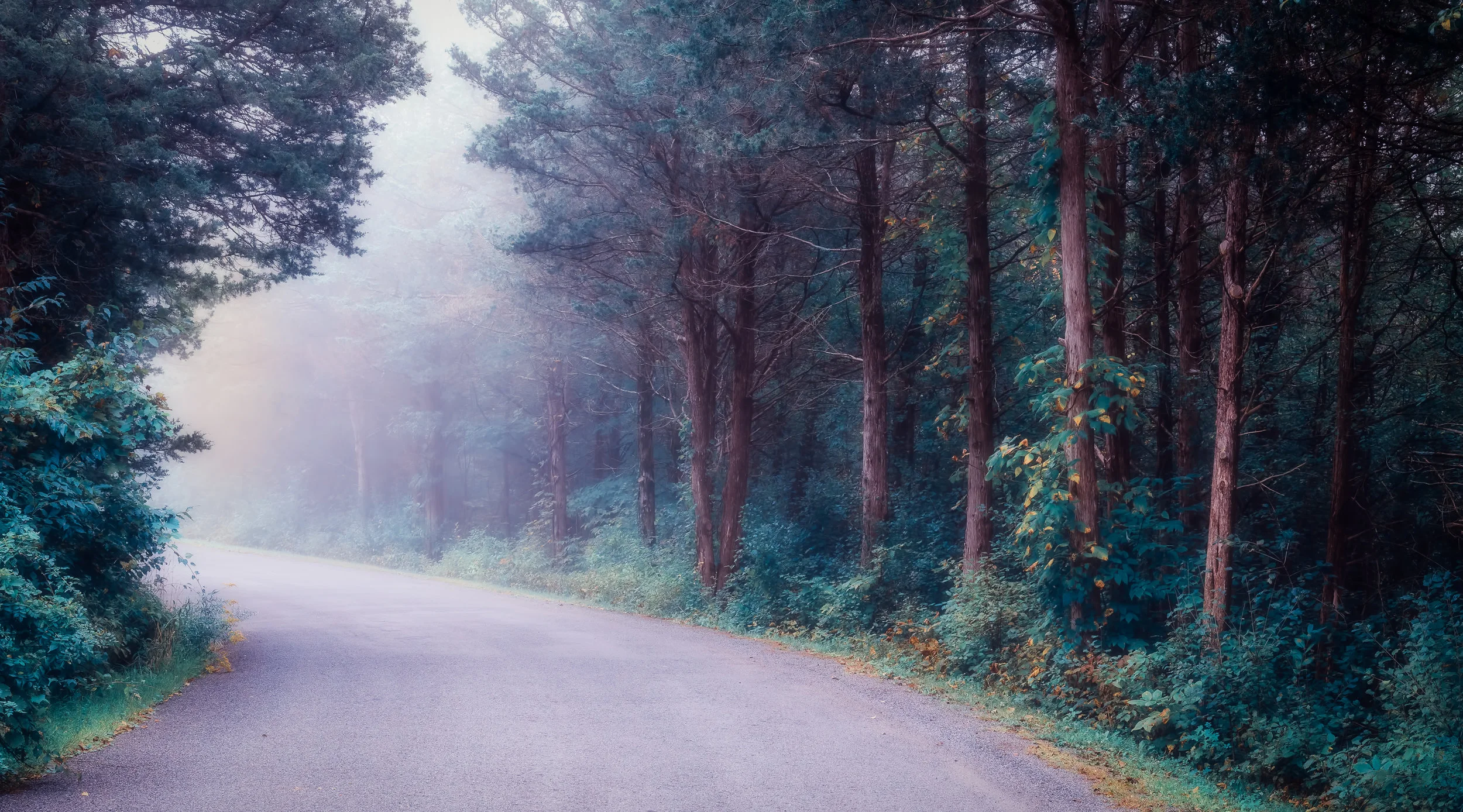 Around the Bend