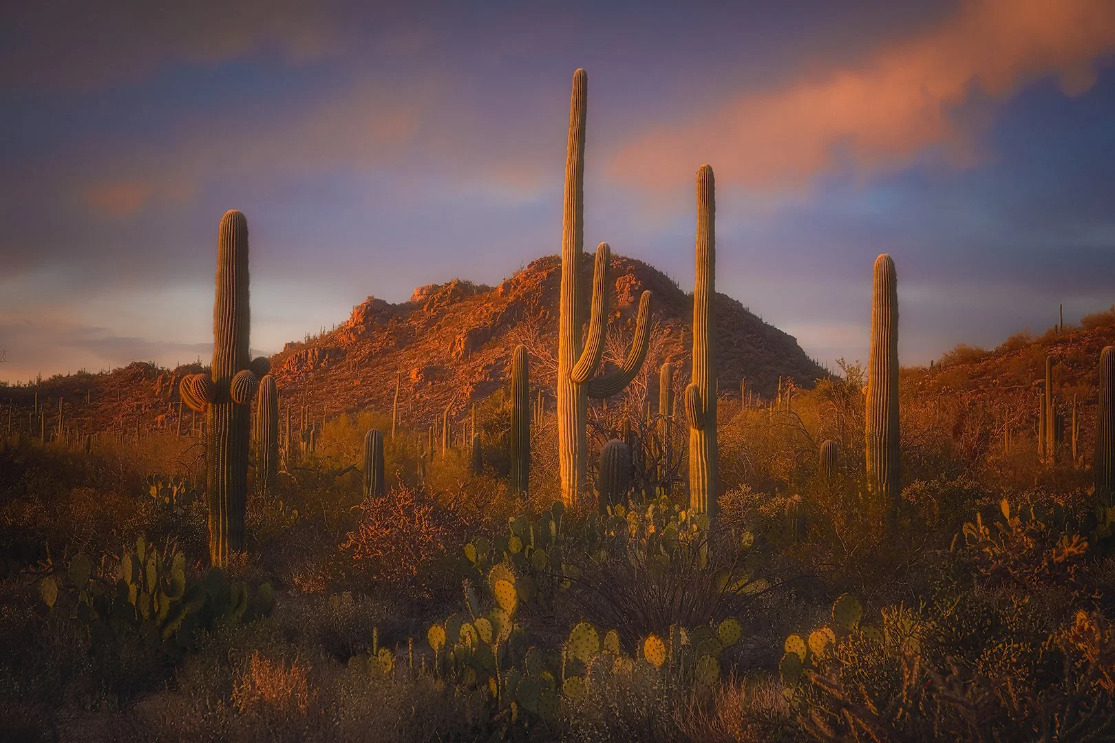Soft Sunset