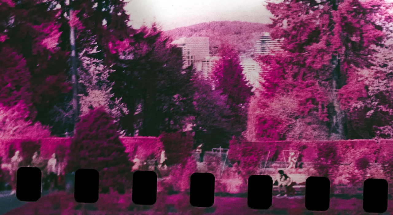 Color Infrared 35mm format film photography