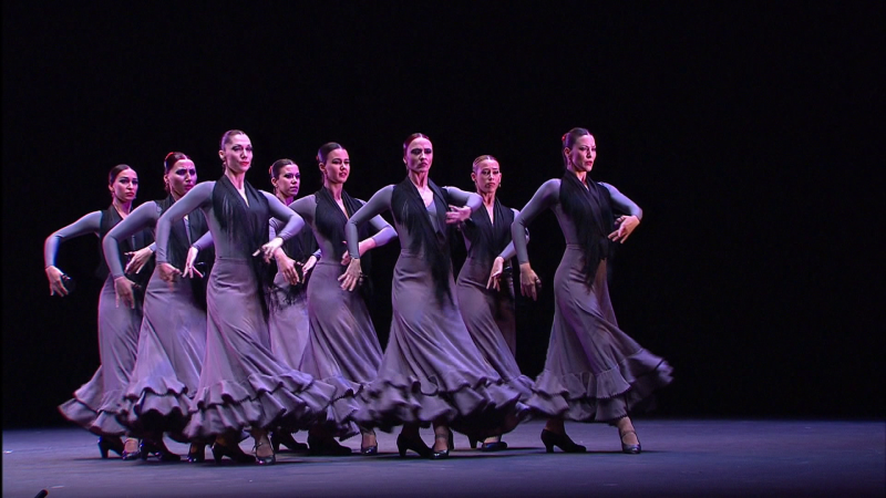 te+flamenca-00_31_58-00030.png