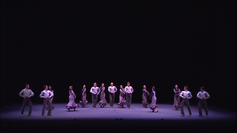 te+flamenca-00_39_49-00033.png