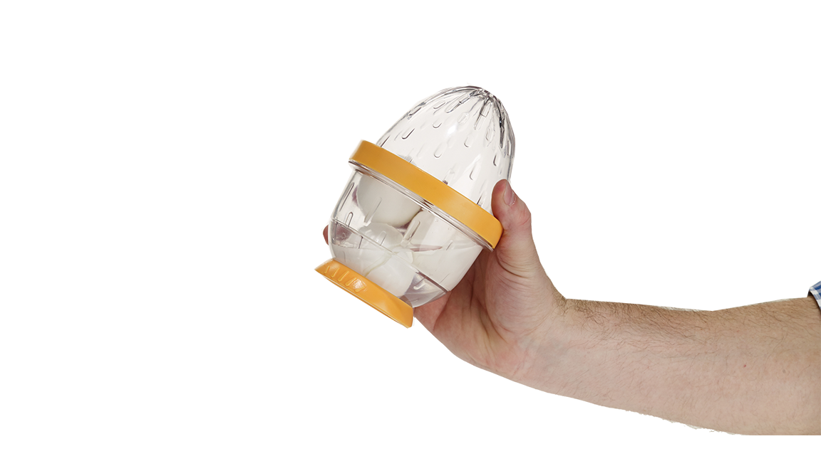 Egg_3.png