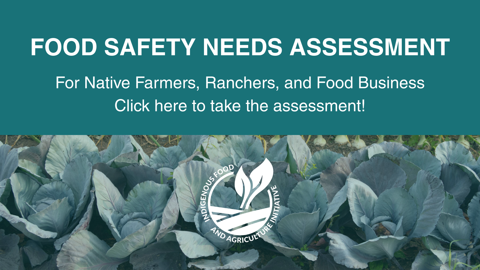 Food Safety Needs Assessment