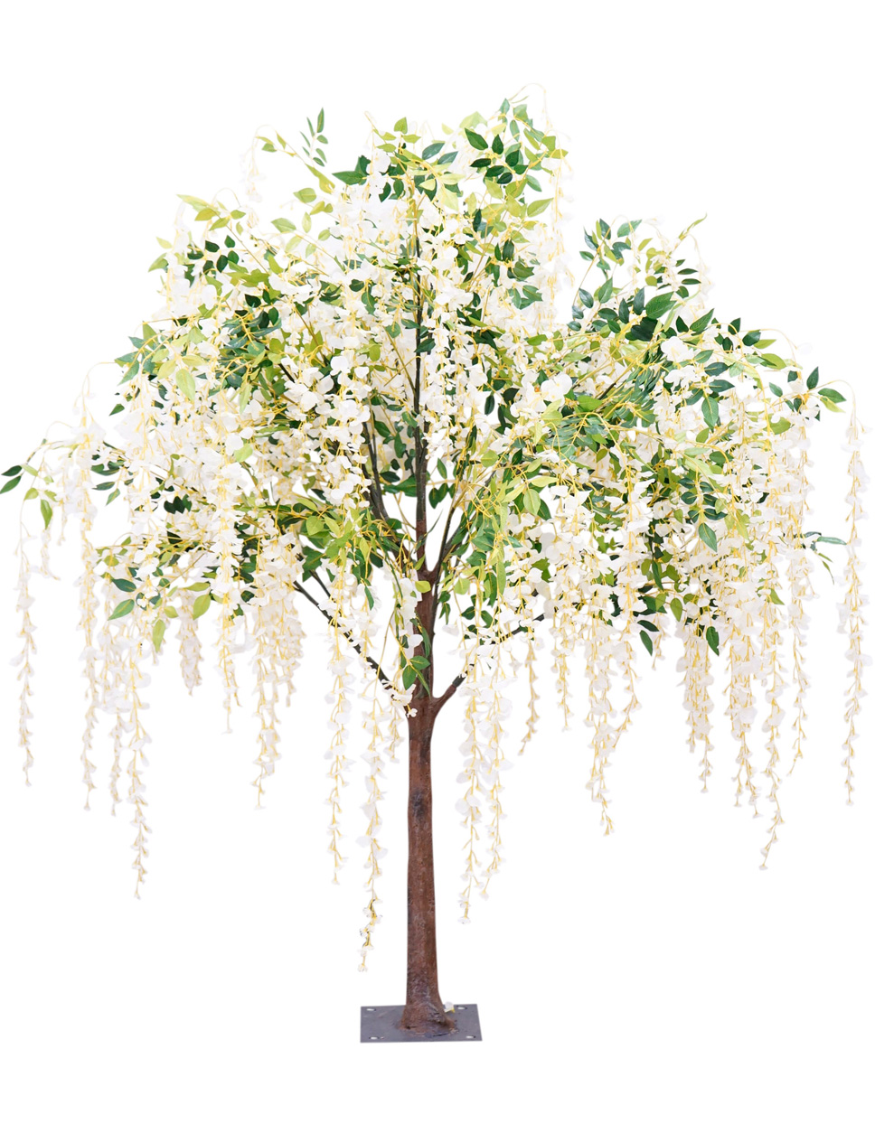 willowtree.png