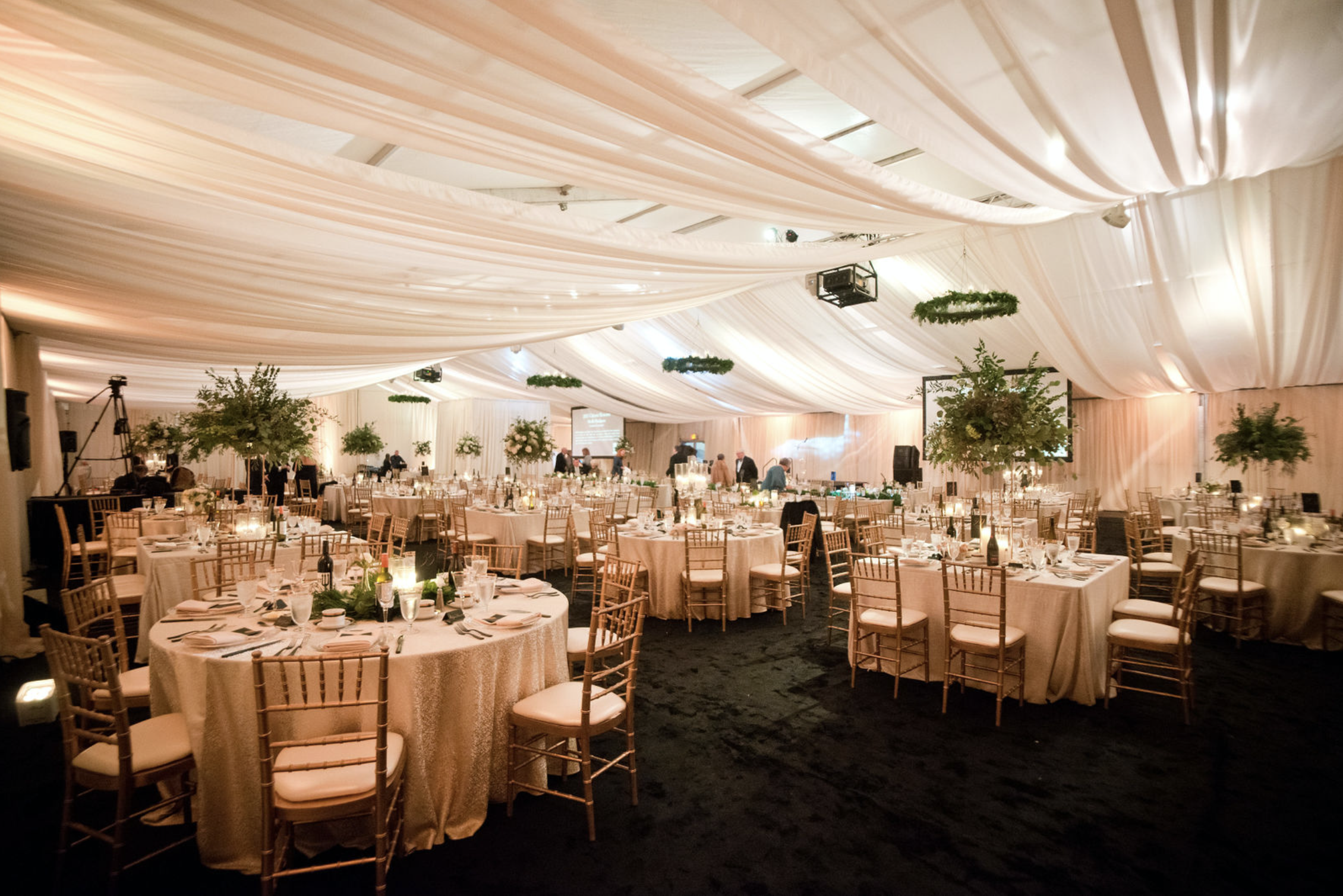 MOH.png
