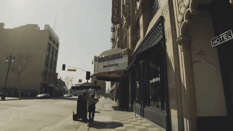 giphy1.gif