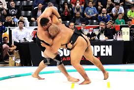 SumoPhoto2.jpeg