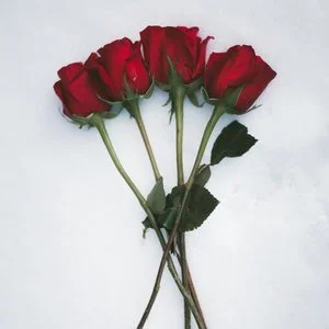 Cherie Amour — Stay