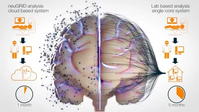 neuGRID