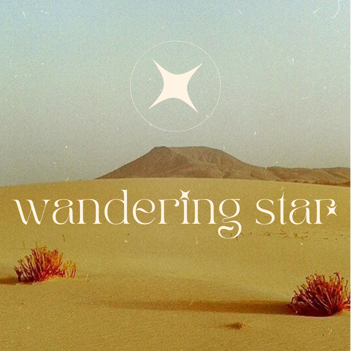 Wandering Star