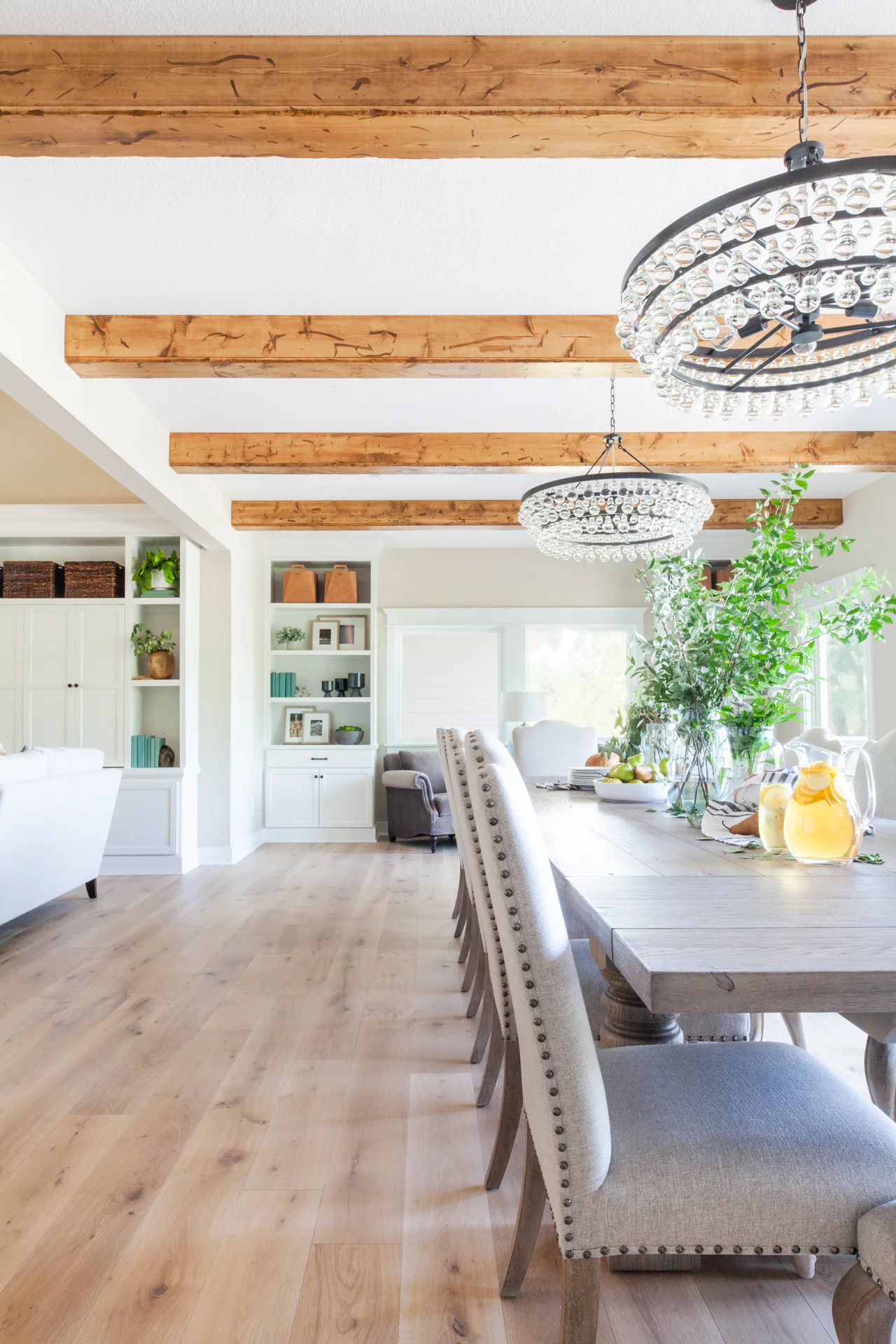 home-reveal-lakeview-scout-and-nimble-41.jpg