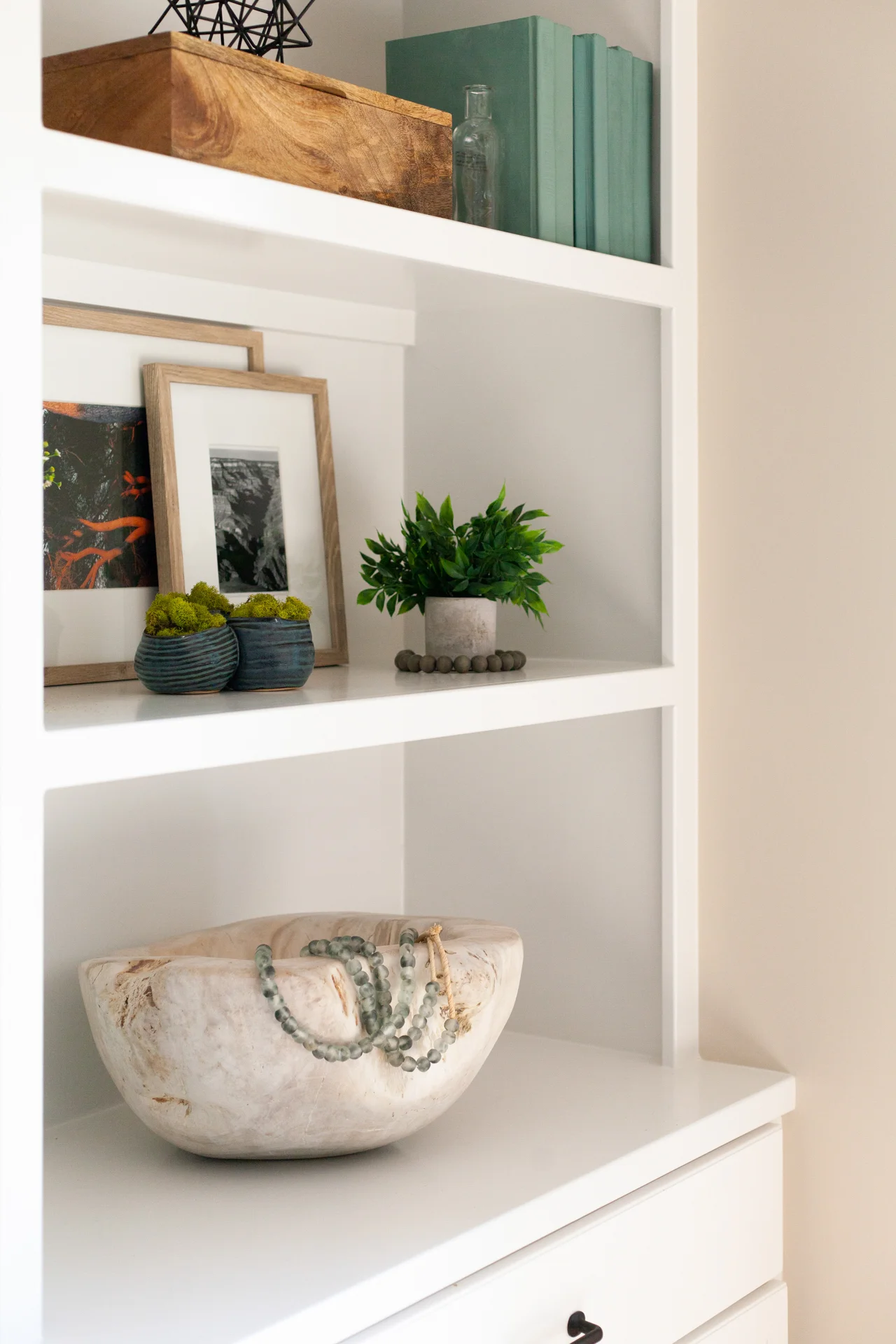 home-reveal-lakeview-scout-and-nimble-67.jpg