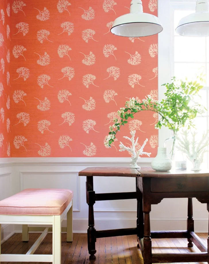 Thibaut Design