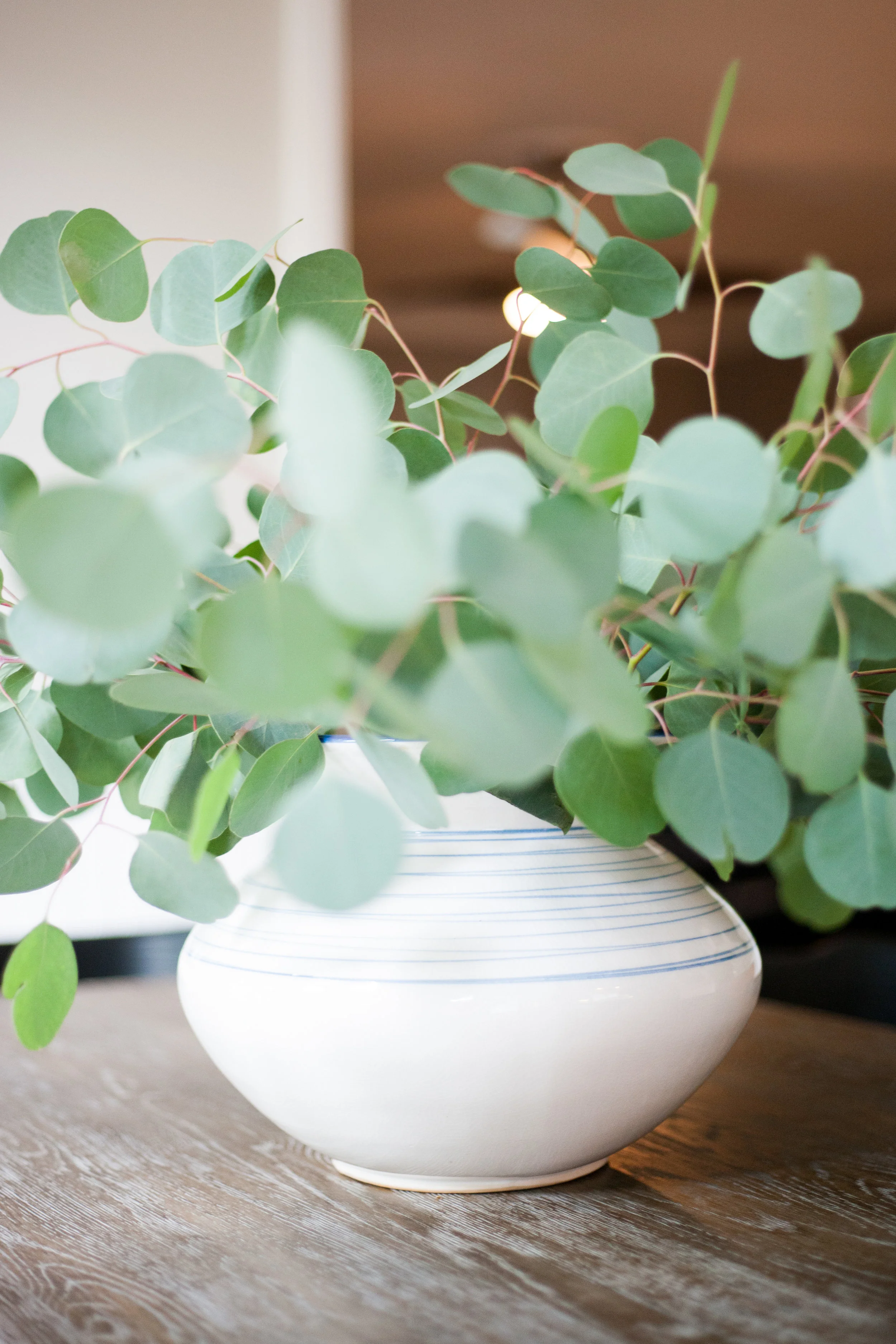 scout-and-nimble-go-to-greenery-eucalyptus.jpg