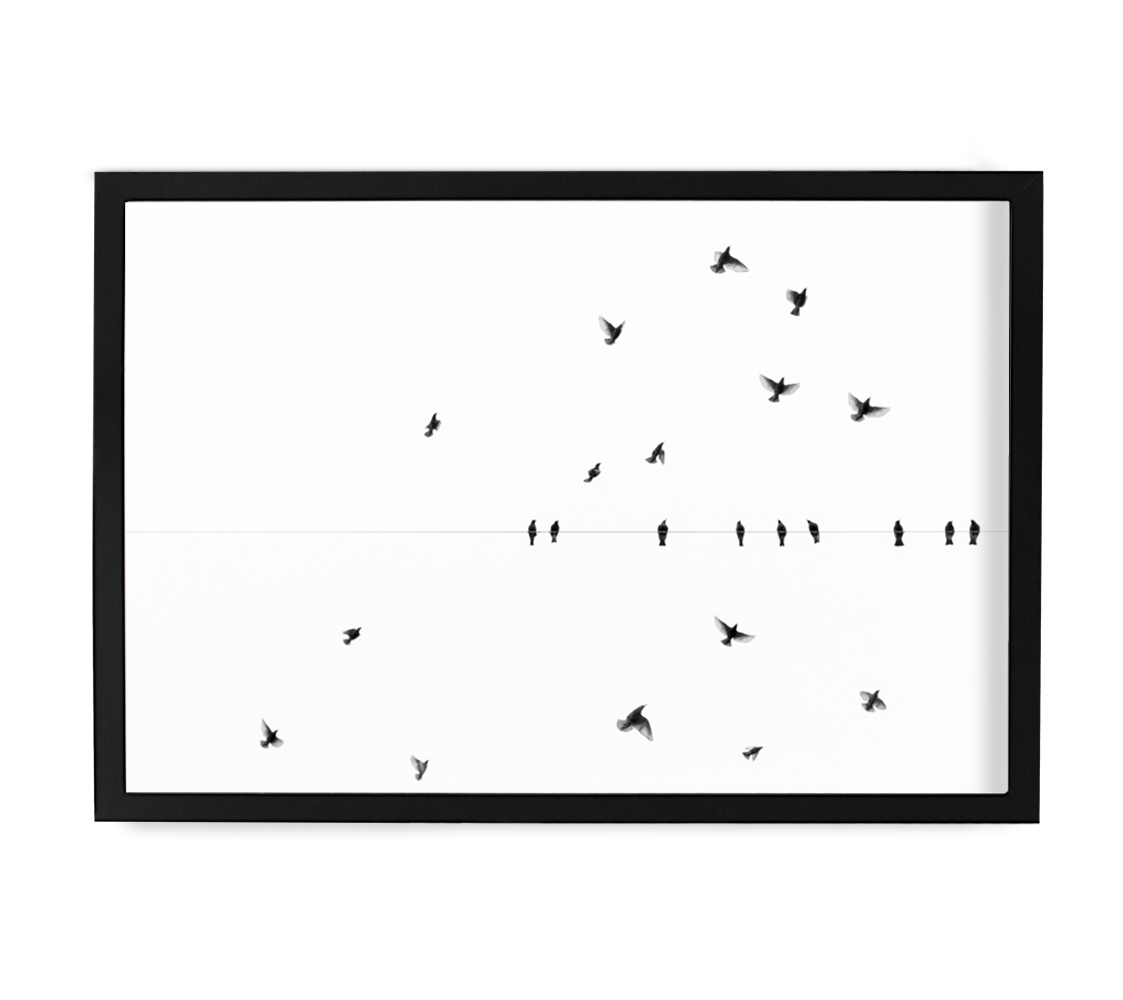 Fly by by Ryan Garvin