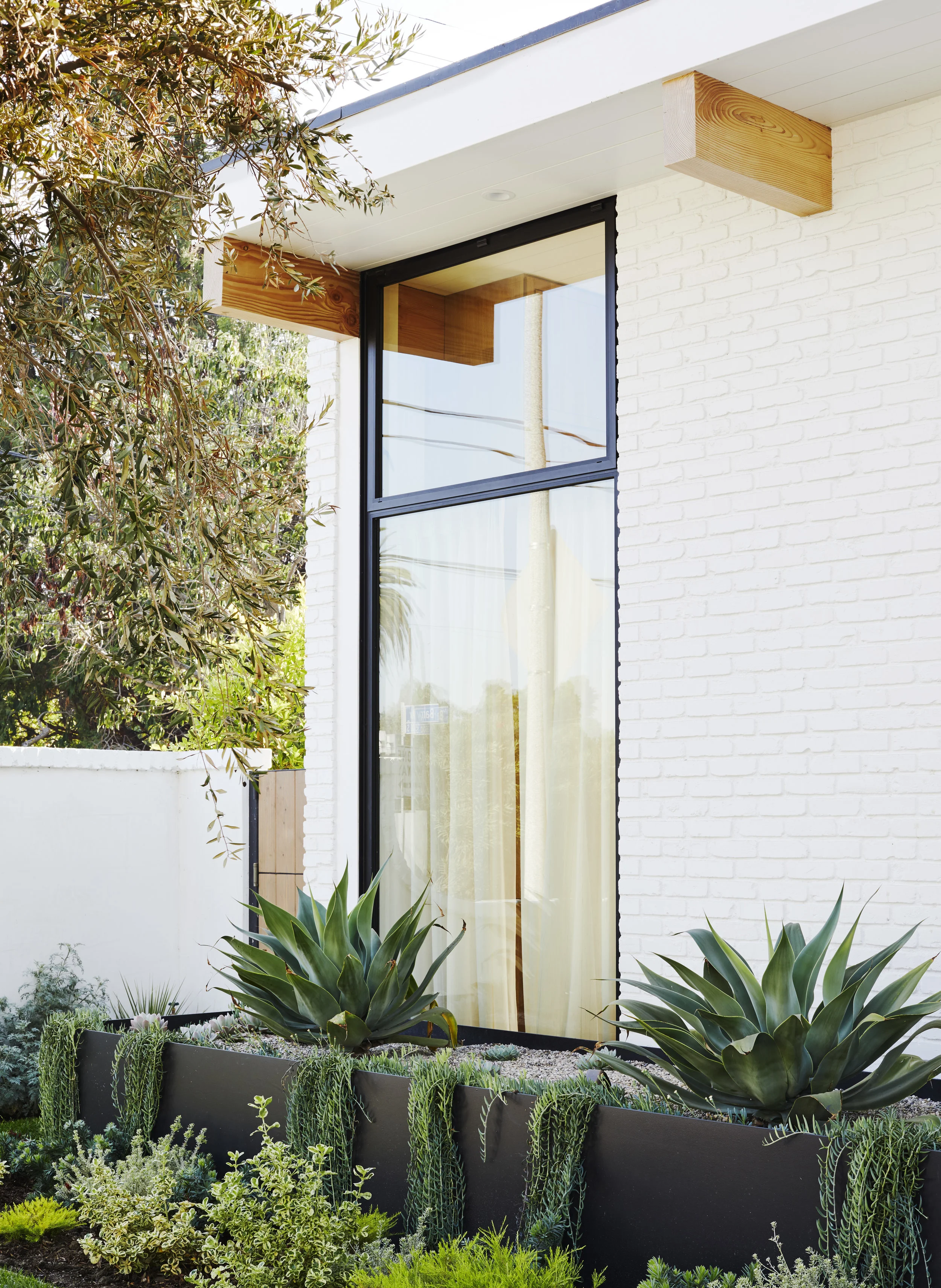 scout_and_nimble_california_home2.jpg