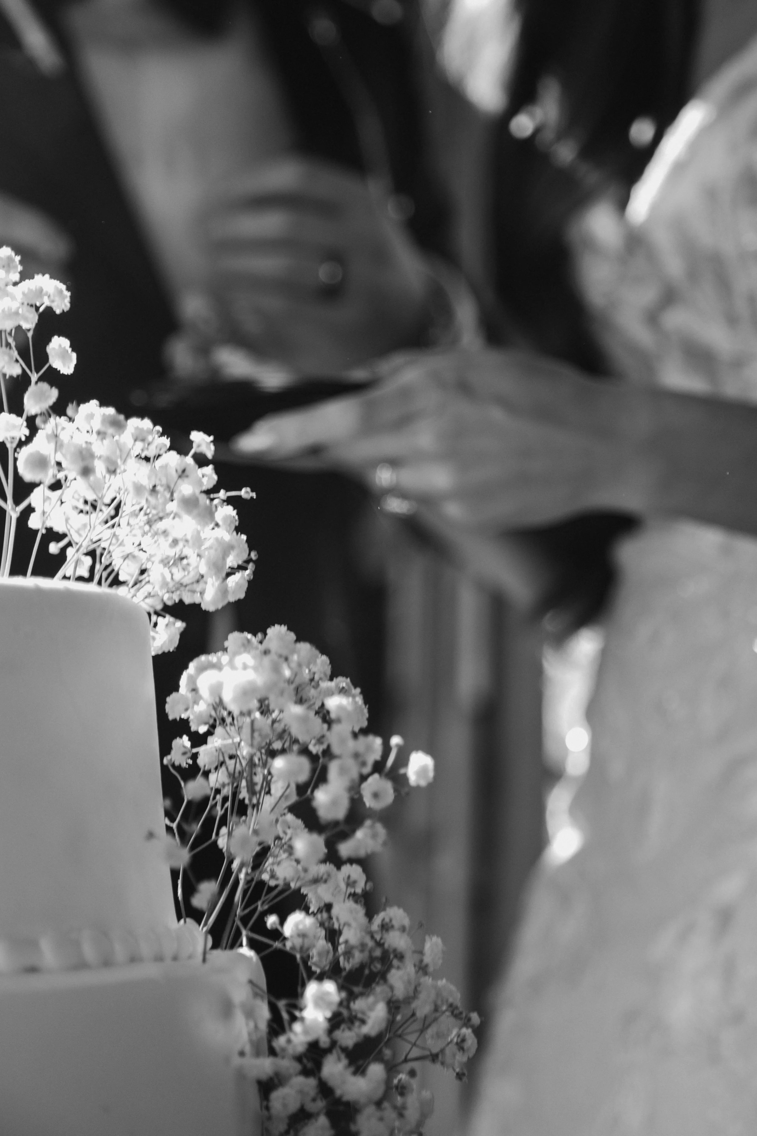 aleke-nate-reception-9985.jpg
