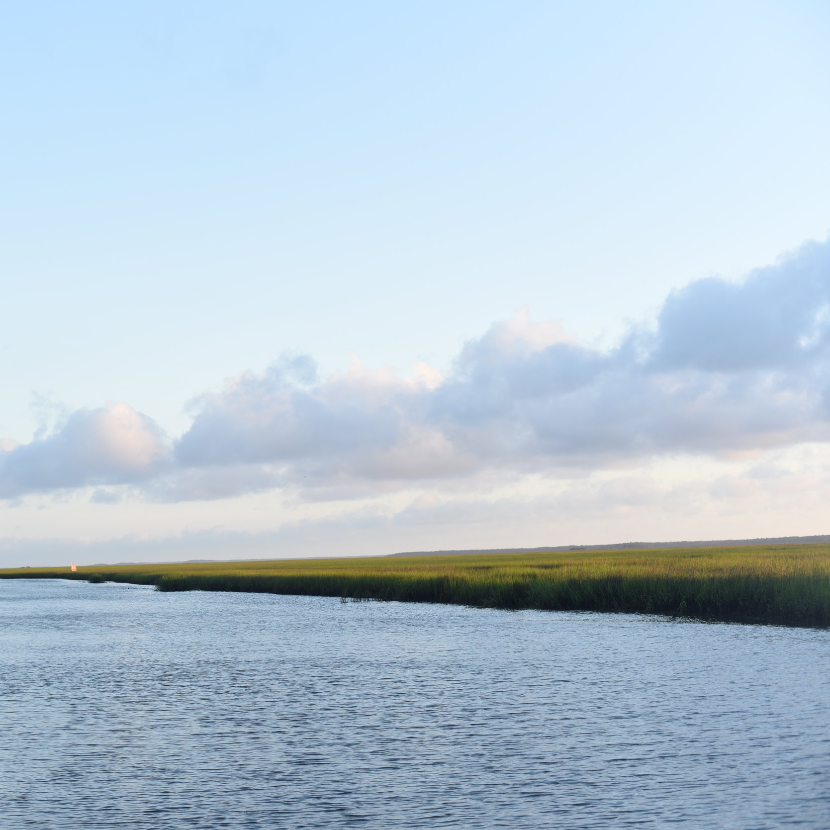 DSC_9138.jpg