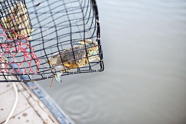 The best part about daylight savings is extra hours of daylight.  This is truly the best place to be.