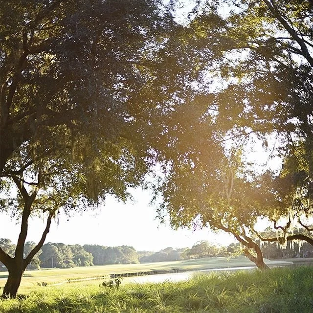 Adjusting to working from home — with the kids home — has been interesting to say the least.  Hope everyone is staying healthy and happy getting a little bit of fresh air each day despite all our social distancing!