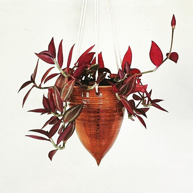 #hangingplanter
#hangingplanters