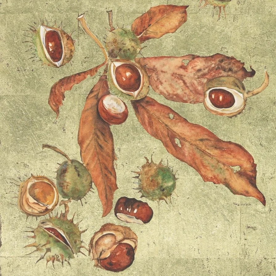 conkers.jpg