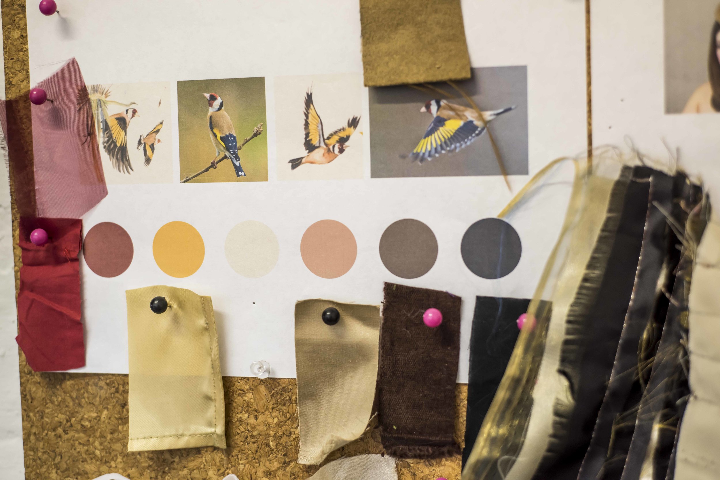 Ellie Studio - Ede measuring June 201832955.JPG