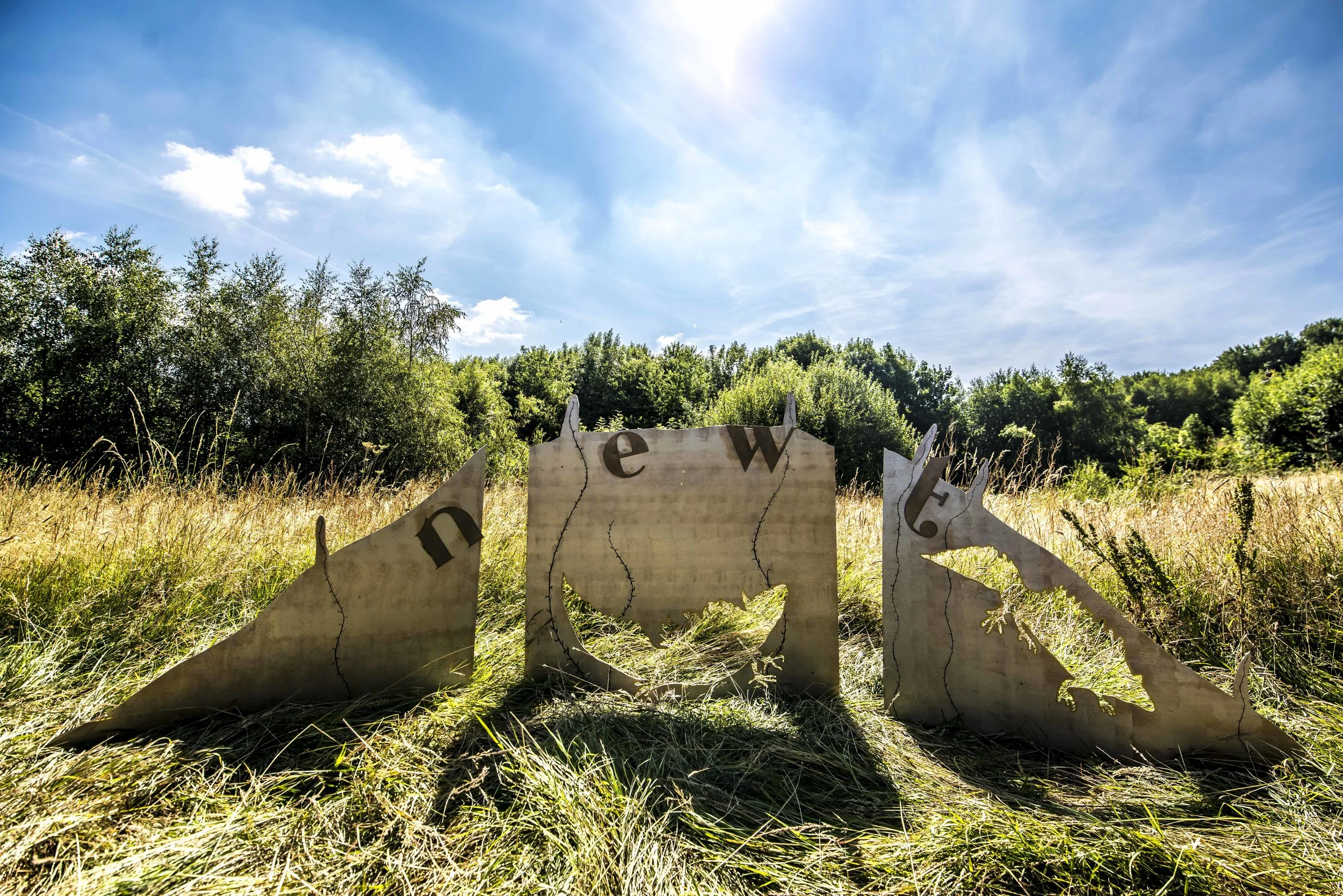 SFS Set TIMBER July 201834407.JPG