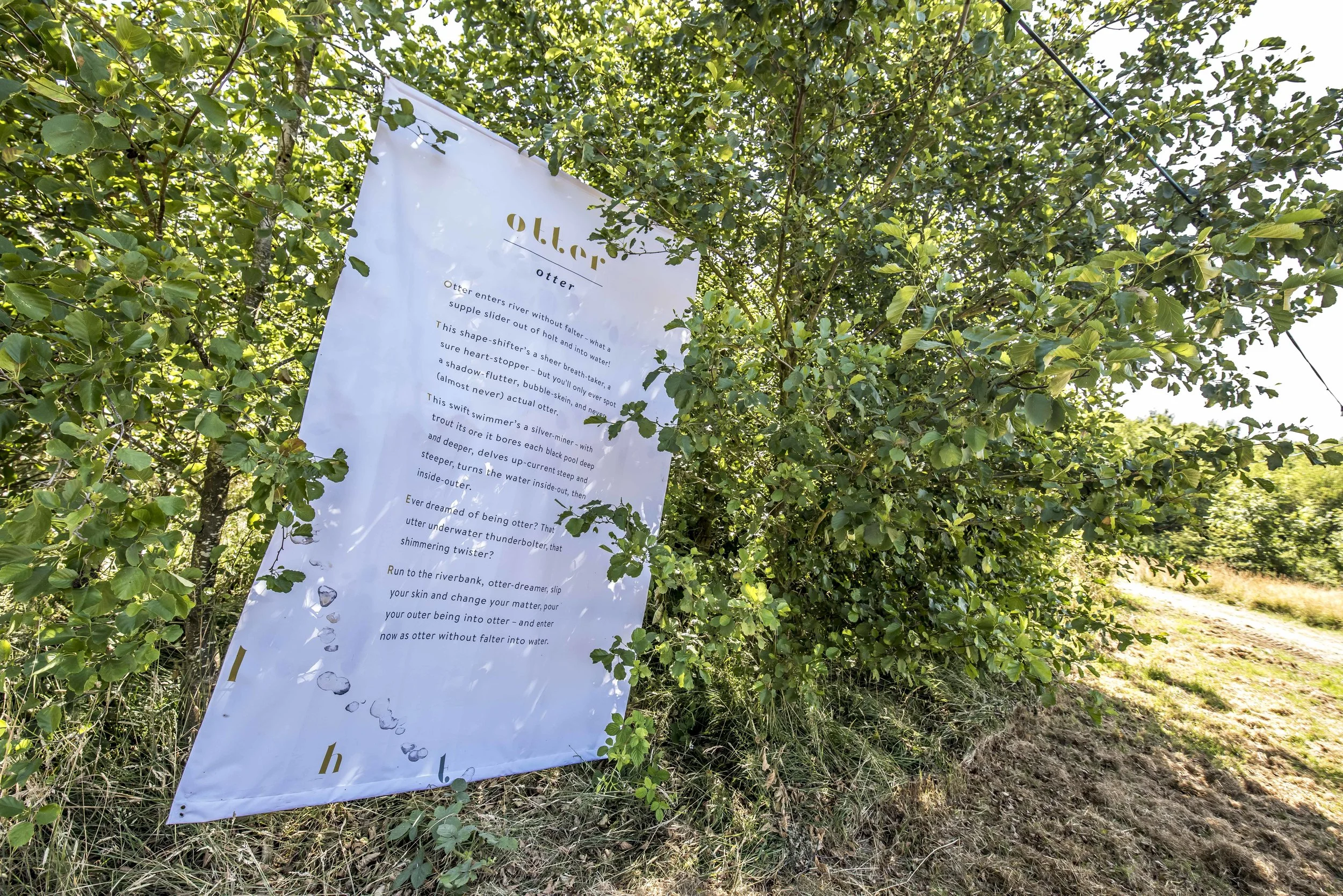 SFS Set TIMBER July 201834408.JPG