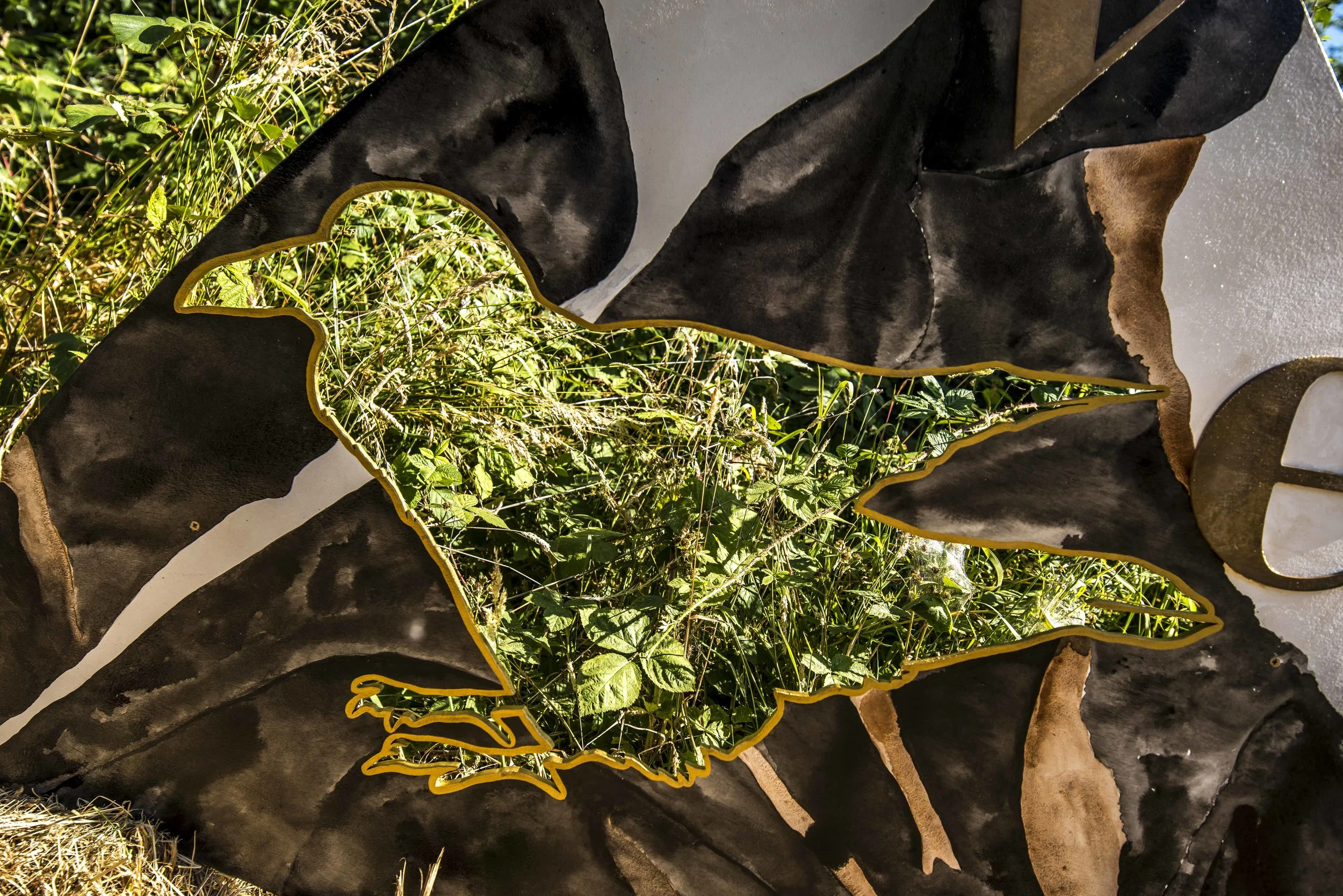 SFS Set TIMBER July 201834411.JPG