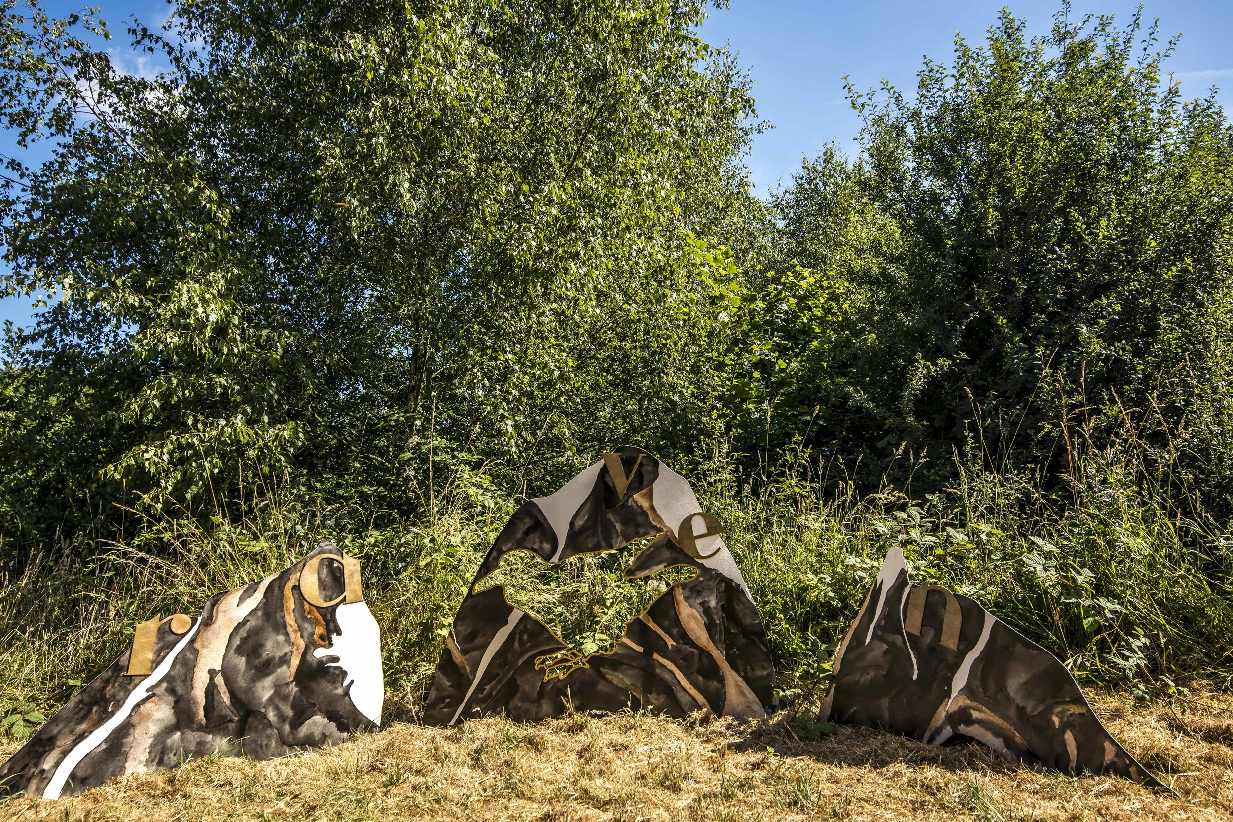 SFS Set TIMBER July 201834412.JPG