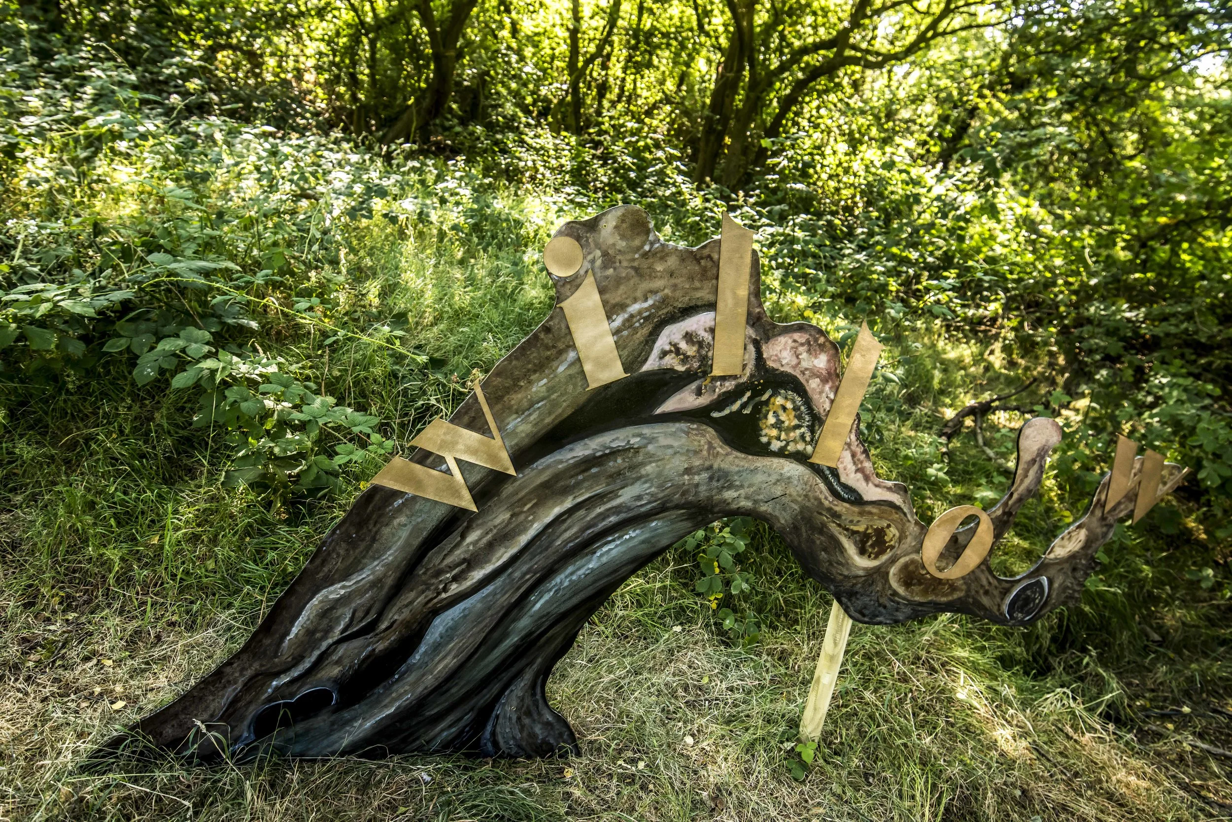 SFS Set TIMBER July 201834414.JPG