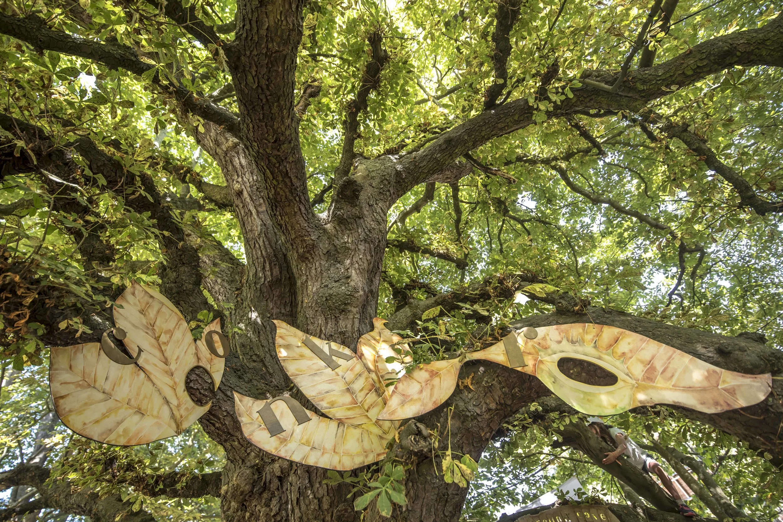 SFS Latitude July 201834643.JPG