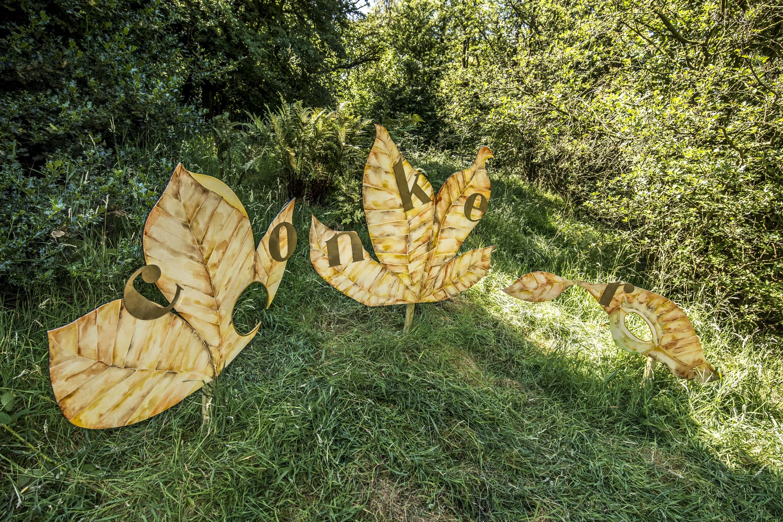 SFS Set TIMBER July 201834415.JPG