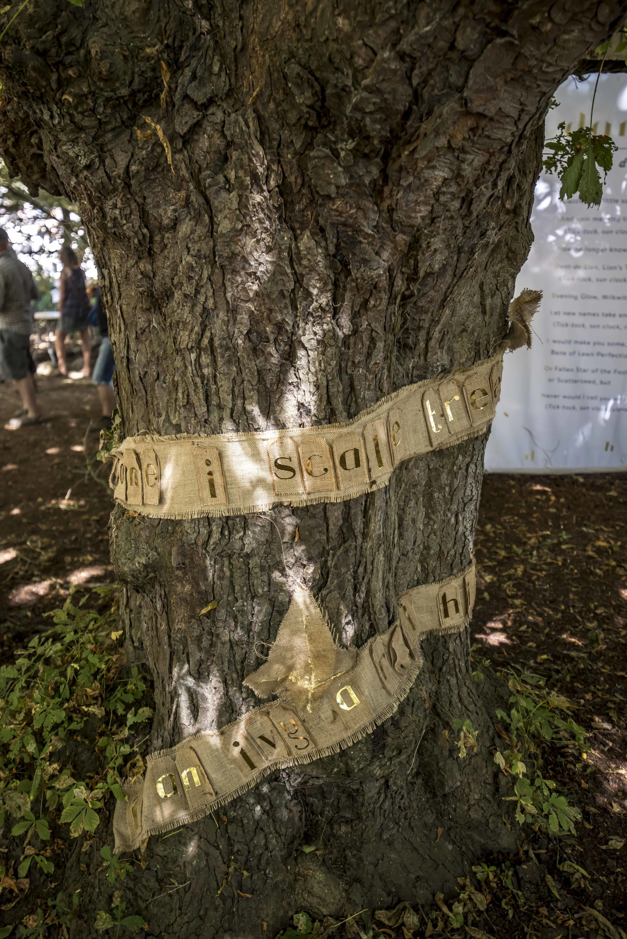 SFS Latitude July 201834644.JPG